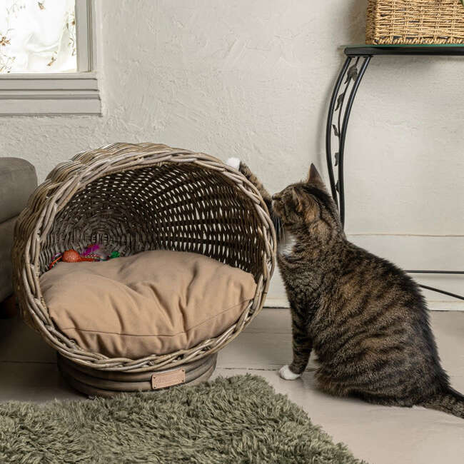 Socket Dome Handwoven Pet Bed with Machine Washable Cushion, Kubu Grey - Pet Beds - 4