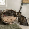 Socket Dome Handwoven Pet Bed with Machine Washable Cushion, Kubu Grey - Pet Beds - 4