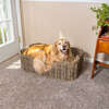 Scallop Handwoven Pet Bed with Machine Washable Cushion, Kubu Grey - Pet Beds - 4