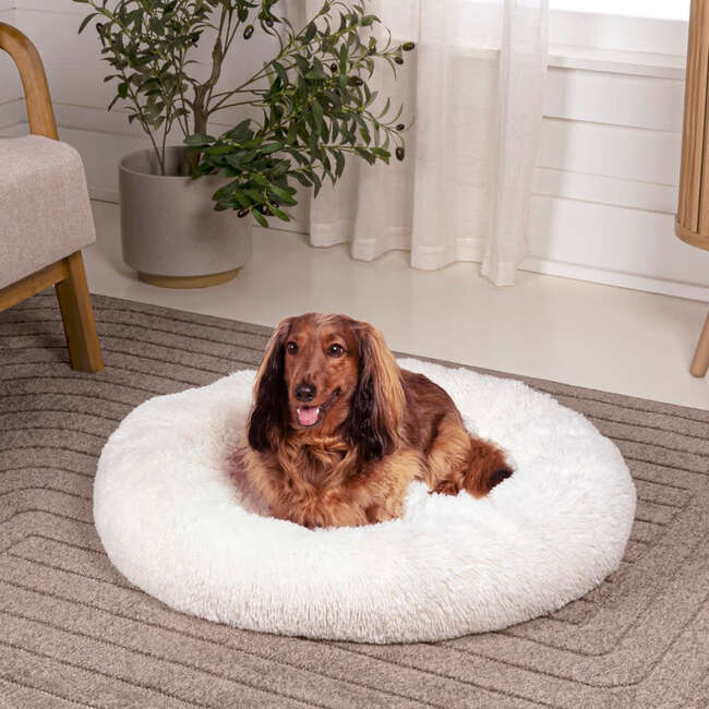 Maisie Faux Fur Round Fluffy Calming Donut Pet Bed with Washable Cover, Snow - Pet Beds - 2