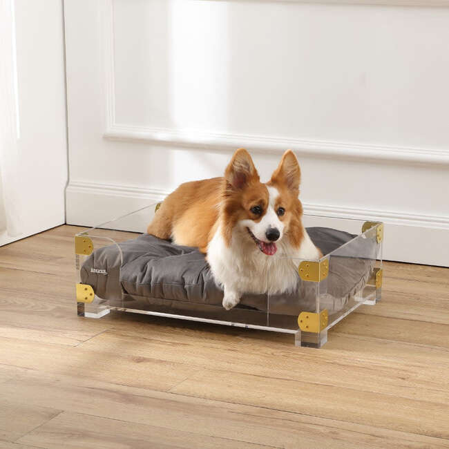 Haines Acrylic Velvet Pet Bed with Washable Cushion, Dark Grey/Clear - Pet Beds - 2
