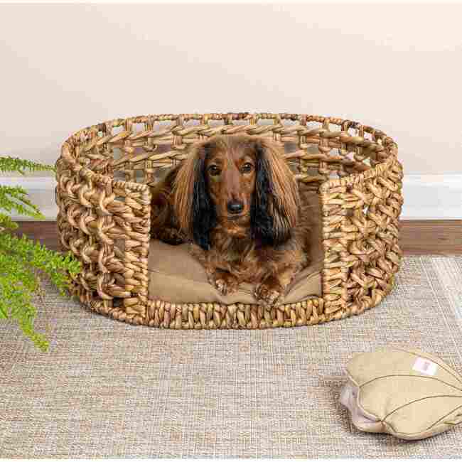 Gigi Handwoven Hyacinth Open-Weave Oval Pet Bed with Machine Washable Cushion, Natural - Pet Beds - 2