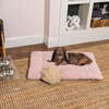 Flora Linen/Plush Ultra Soft Reversible Pet Bed & Crate Mat with Washable Cover, Bubblegum - Pet Beds - 2