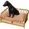 Elevated Handwoven Rattan Pet Daybed with Machine-Washable Cushion, Natural - Pet Beds - 3