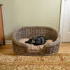 Curvy Handwoven Pet Bed with Machine Washable Cushion, Kubu Grey - Pet Beds - 4