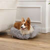 Carole Acrylic Fluffy Pet Bed with Washable Cushion, Light Grey/Clear - Pet Beds - 2