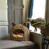 Cat Ear Handwoven Pet Bed with Machine Washable Cushion, Natural - Pet Beds - 4