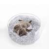 Bette Acrylic Fluffy Donut Pet Bed with Washable Cover, Light Grey/Clear - Pet Beds - 2