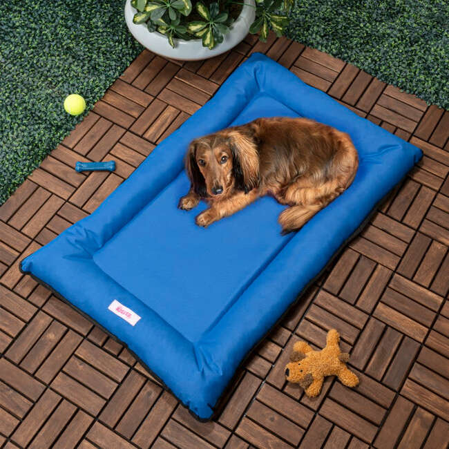 Archie Waterproof Indoor/Outdoor Hand-Washable Memory Foam Camping Pet Bed, Cobalt - Pet Beds - 2