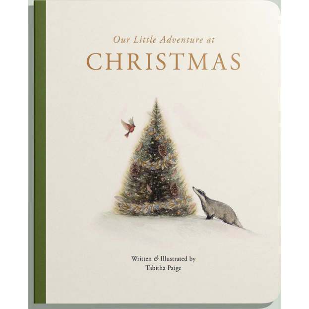Our Little Adventure at Christmas