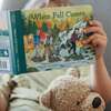 When Fall Comes - Books - 2