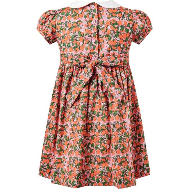 Clementine Peter Pan Collar Dress, Orange - Dresses - 3