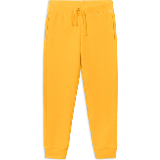 The Jogger, Sunflower