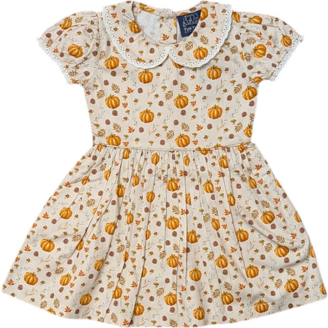 Fall Medley Peter Pan Collar Dress