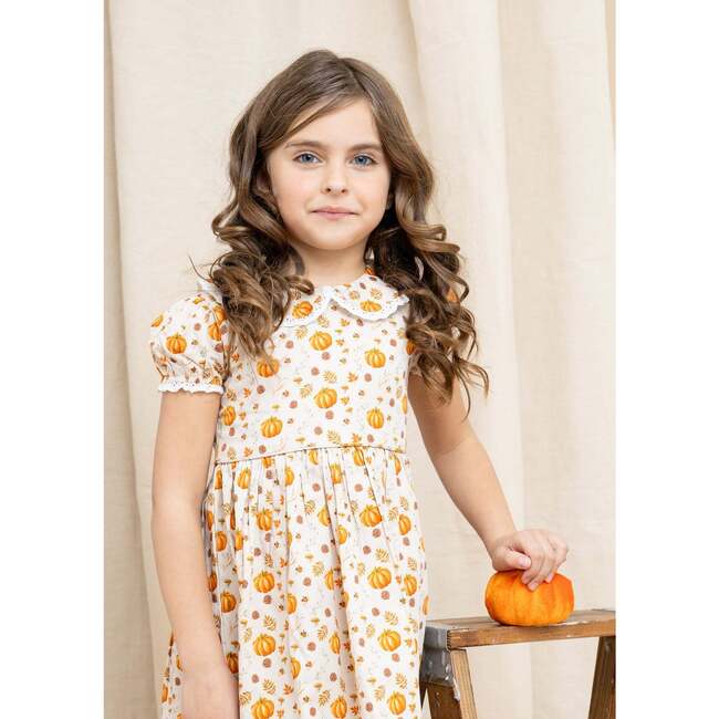 Fall Medley Peter Pan Collar Dress - Dresses - 2