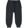 Organic Fleece Jogger Pants, Hale Navy - Pants - 1 - thumbnail