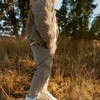 Organic Corduroy Pant, Olive - Pants - 2