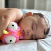 Ollie Baby Shower Bundle - Plush - 3