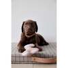 Ashi Large Dog Toy, Lavender & Amber - Pet Toys - 2 - thumbnail