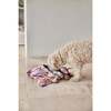 Ashi Small Dog Toy, Lavender & Amber - Pet Toys - 3