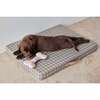 Ashi Large Dog Toy, Lavender & Amber - Pet Toys - 5 - thumbnail
