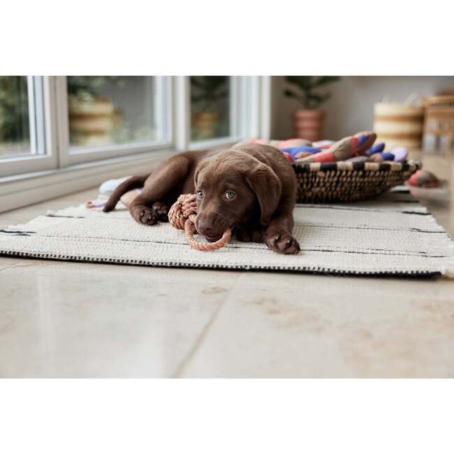 Ashi Large Dog Toy, Caramel & Blue - Pet Toys - 5