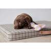 Ashi Large Dog Toy, Lavender & Amber - Pet Toys - 6 - thumbnail