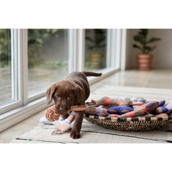 Ashi Large Dog Toy, Caramel & Blue - Pet Toys - 6