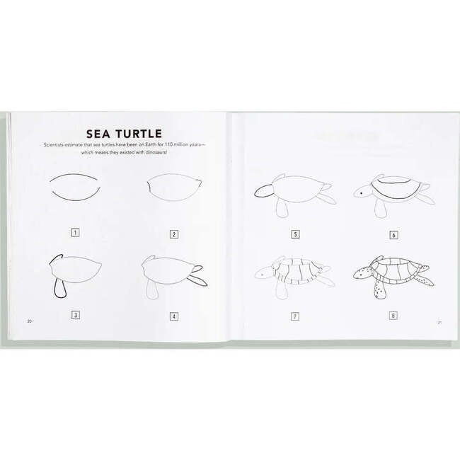 How to Draw Under the Sea for Kids