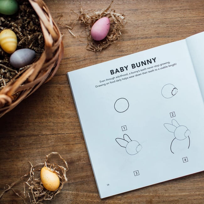How to Draw Spring Things for Kids