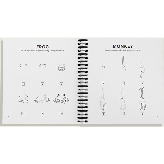 How to Draw All the Animals (Spiral) - Books - 3