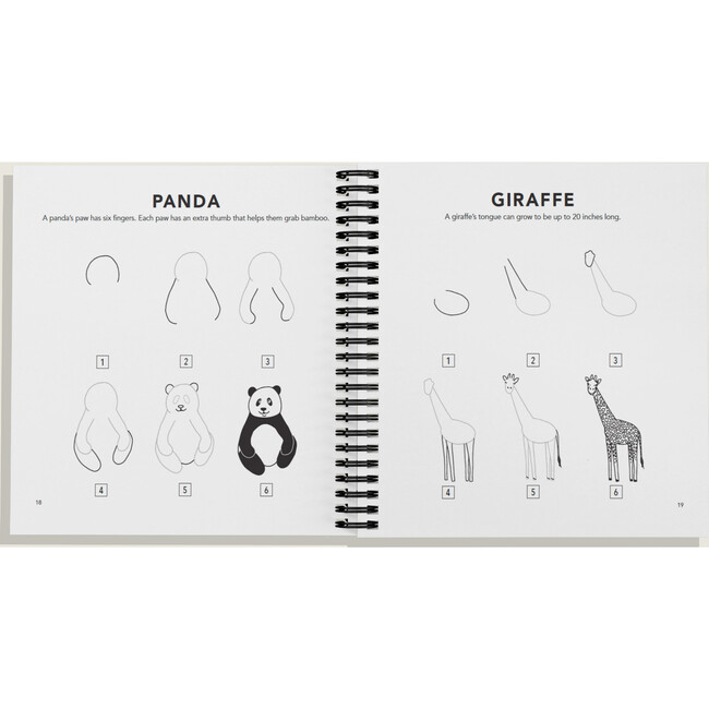 How to Draw All the Animals (Spiral) - Books - 4