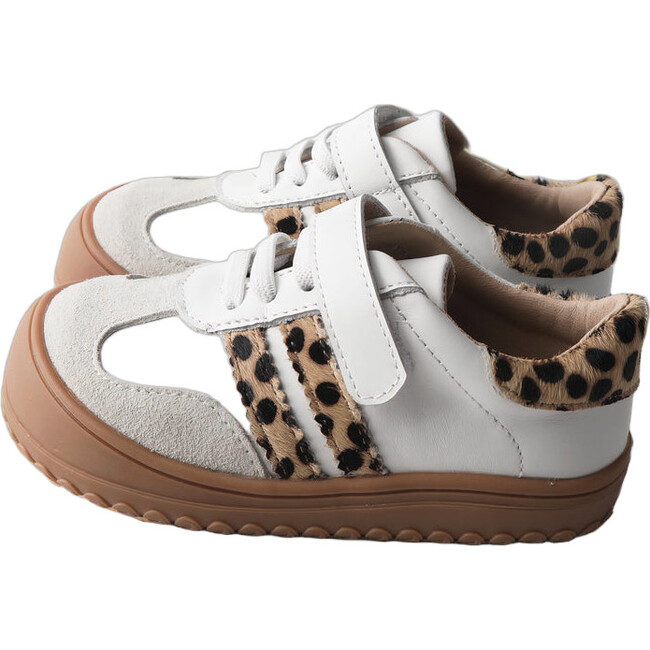 The Asha, White Leopard