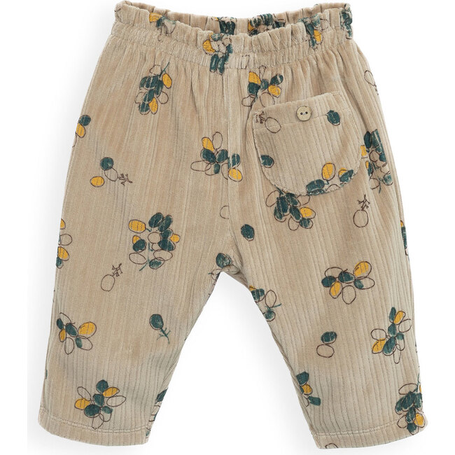 Pant,  Fruit Print