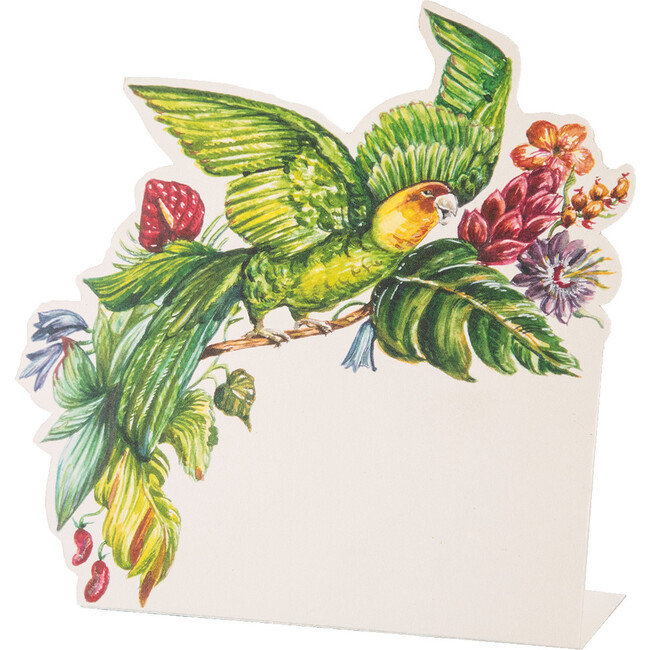 Parrot Place Card, Multi