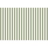 Green Ribbon Striped Placemat - Party - 1 - thumbnail