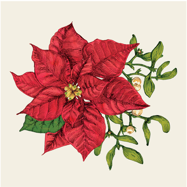 Poinsettia Cocktail Napkin, Set of 20