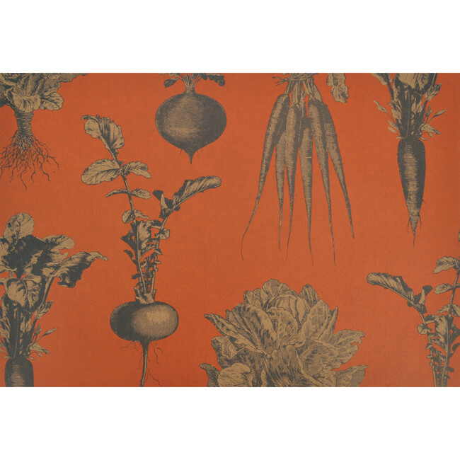 Harvest Vegetables Persimmon Placemat, Set of 18