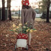 Rattan Mushroom Luggy, Red - Push & Pull - 3 - thumbnail