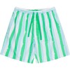 Men's Drawbertson Wild Stripes Sleep Shorts - Pajamas - 1 - thumbnail