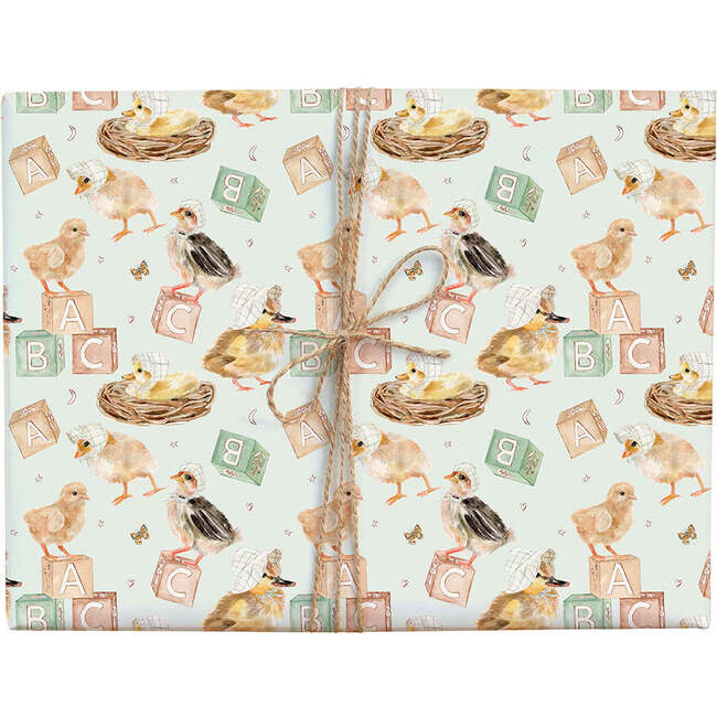 ABC Baby Duckling Gift Wrap Roll, Multi