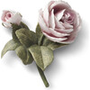 Porcelain Rose with a Bud, Dusty Pink - Accents - 2