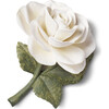 Porcelain Rose, Cream - Accents - 2