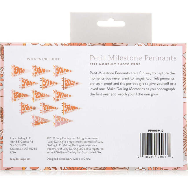 Flower Child Petit Milestone Pennant