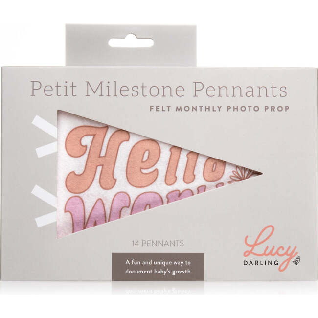 Flower Child Petit Milestone Pennant - Mixed Gift Sets - 3