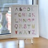 Chinoiserie Alphabet, 16" x 20" - Art - 3 - thumbnail