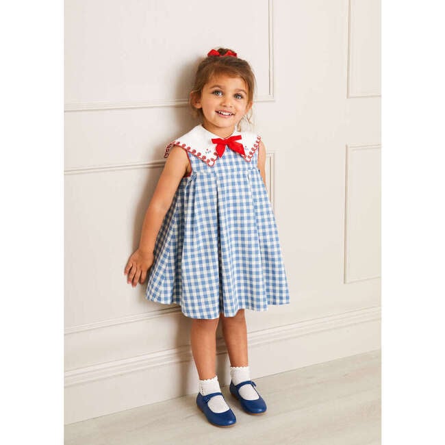 Embroidered Gingham Sleeveless Dress, Blue