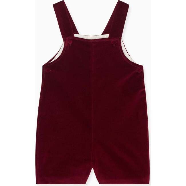 Burgundy Buganvilla Velvet Baby Overalls