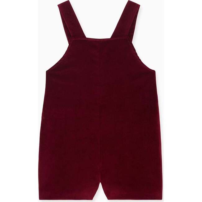 Burgundy Buganvilla Velvet Baby Overalls - Overalls - 2