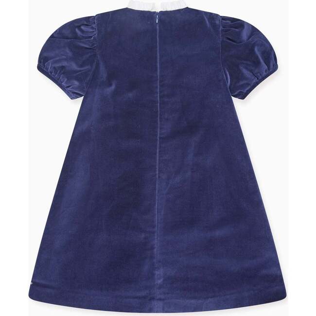 Navy Clara Velvet Girl A-Line Dress - Dresses - 4